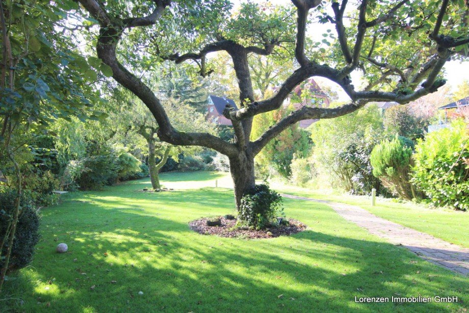 Garten Doppelhaush�lfte Eckernf�rde